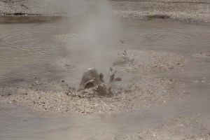 Boiling Mud bursting