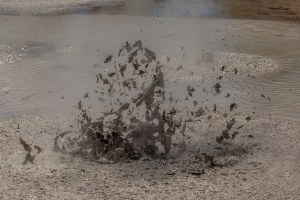 Boiling Mud bursting