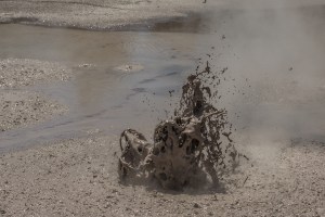 Boiling Mud bursting