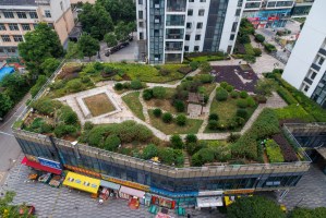 Roof top garden Changsha